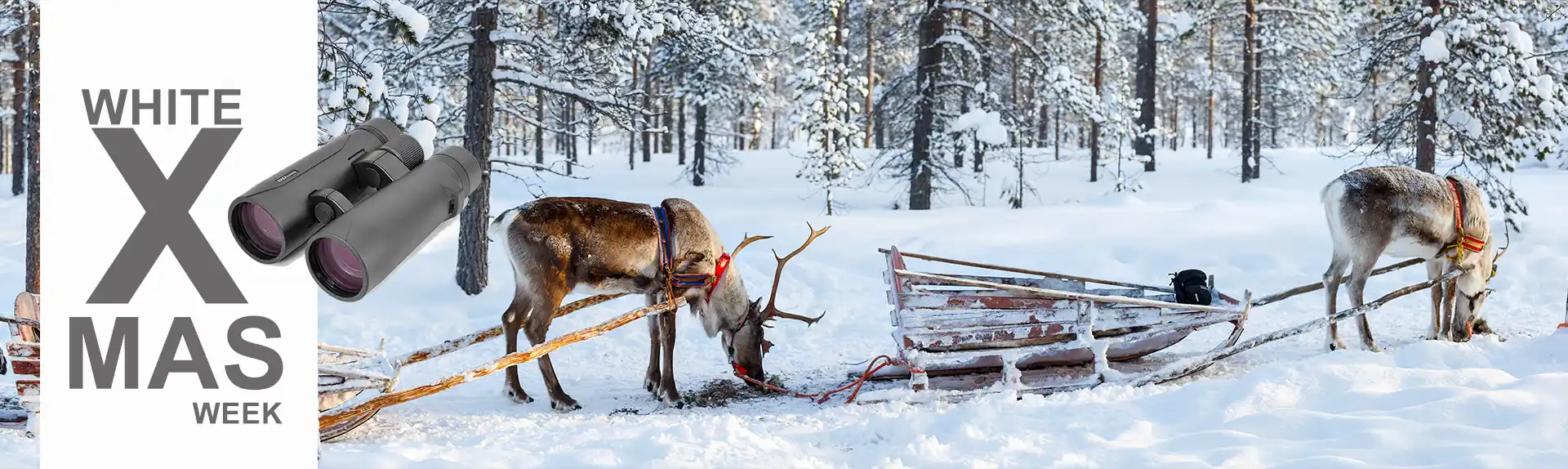 media/image/Banner-white-Christmas-week.webp